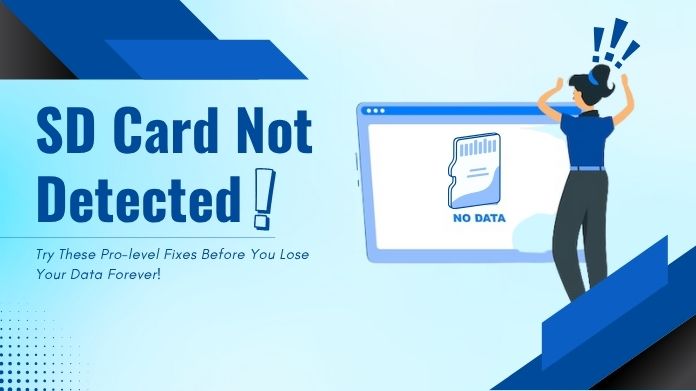 sd card not detected